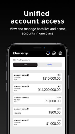 蓝莓市场 · Blueberry截图3